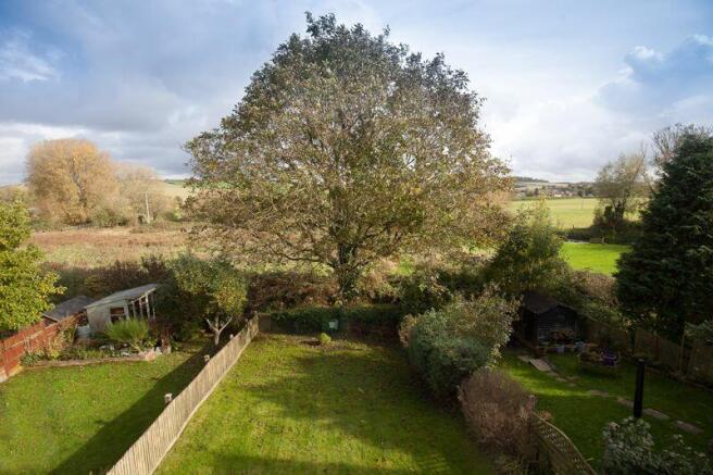 Garden/View 