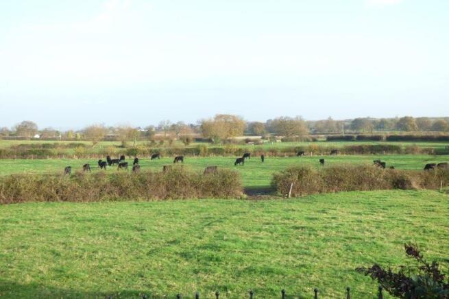 view of countrysi...