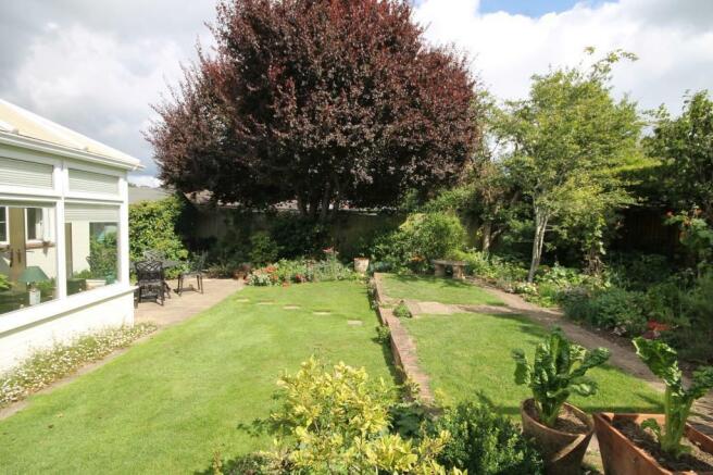 .garden3.JPG
