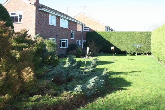 Garden 1