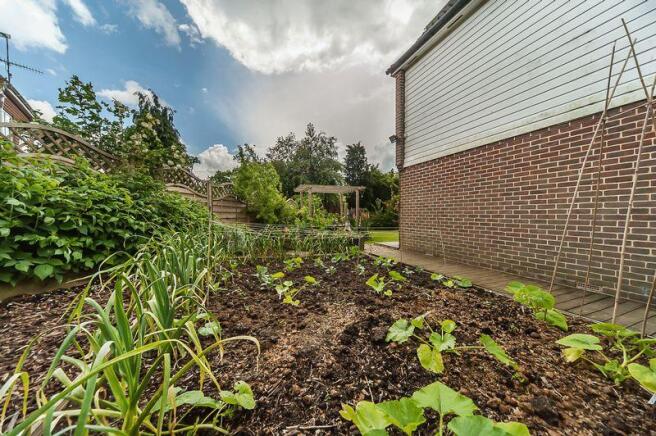 Side garden
