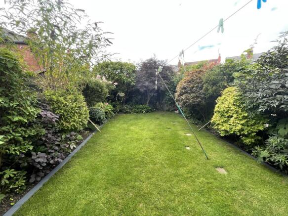 IMG_3431.JPEG