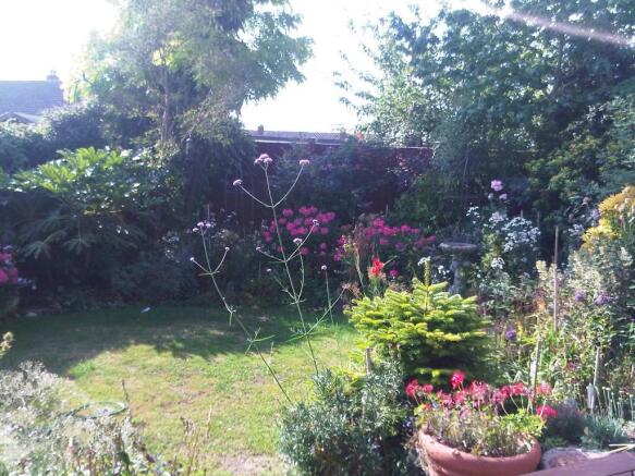 Photo 3