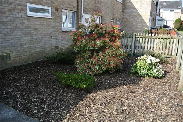 Photo 12