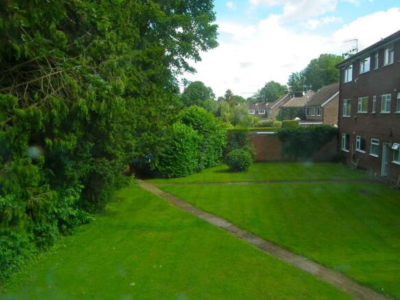 Communual Garden