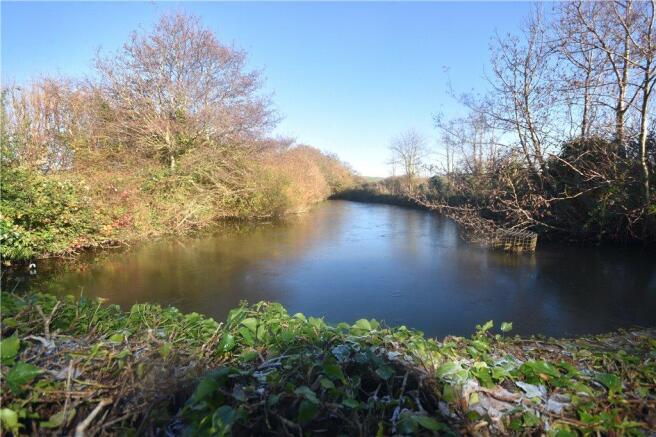 Local Pond