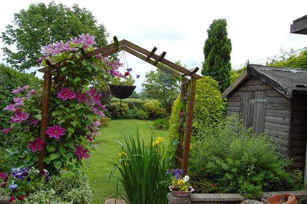garden 3