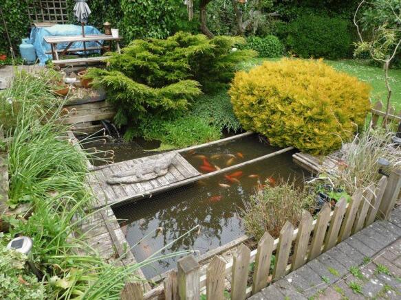 Rear Garden - Pond