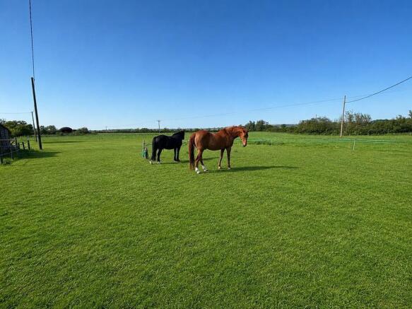 Field