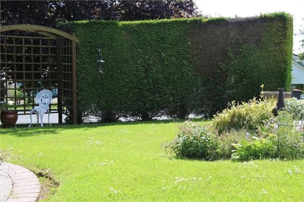 Photo8