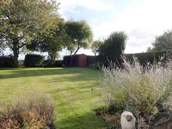 Garden 5