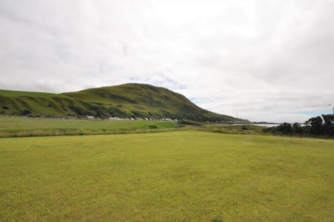 View south paddock