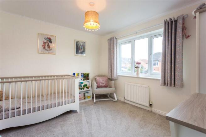 Photos