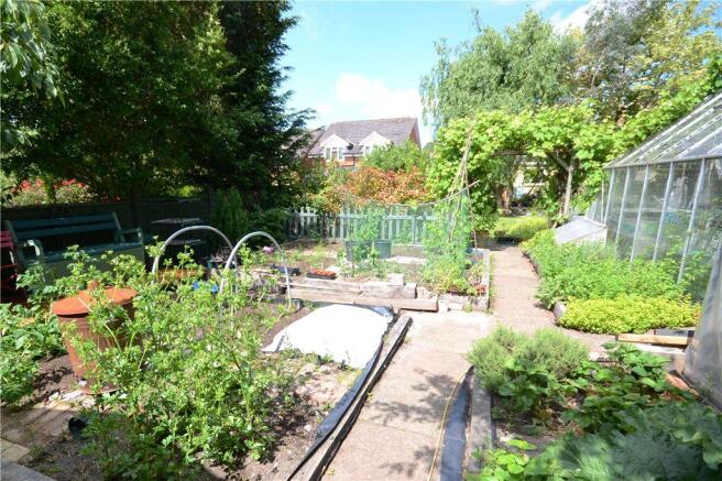 Vegetable Plot