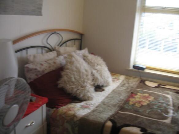 Photo 17