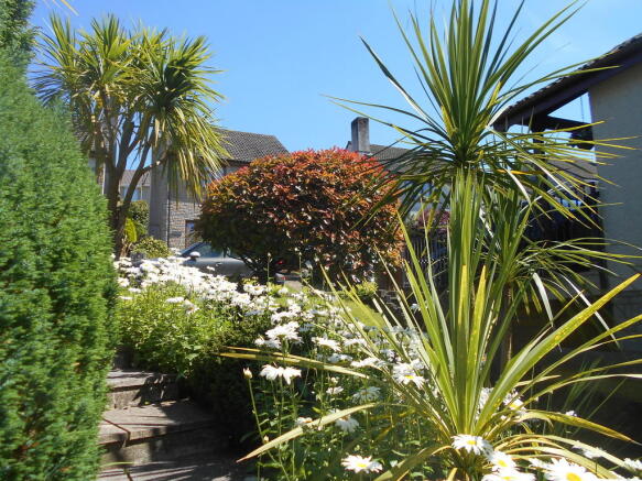 Photo 23
