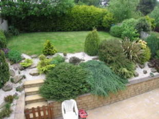 Photo 10