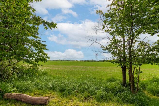 Field Behind