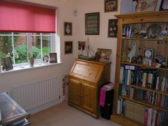Photo 5