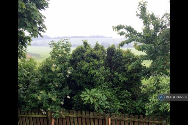 View From Bedroom 