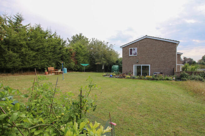Photo 25