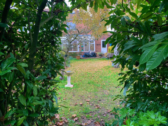Photo 15