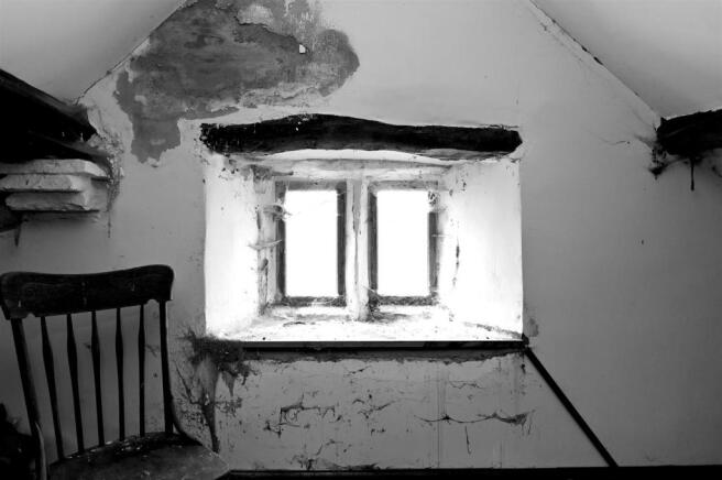 DSC_0349bw.jpg