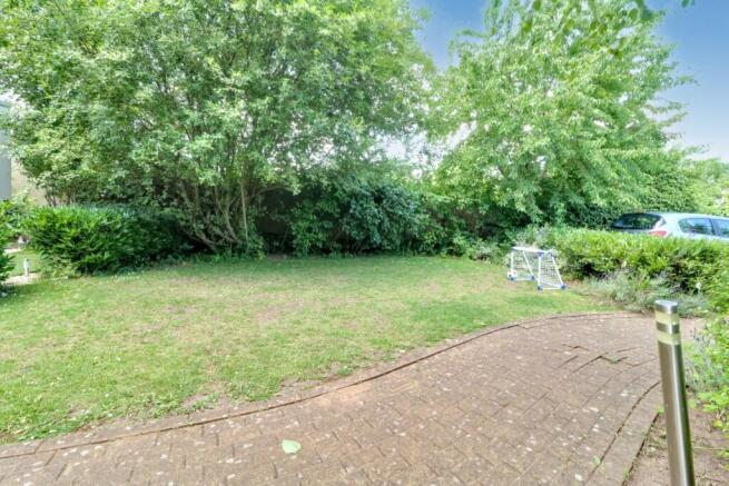 Photo 15