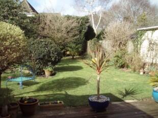 Garden 1