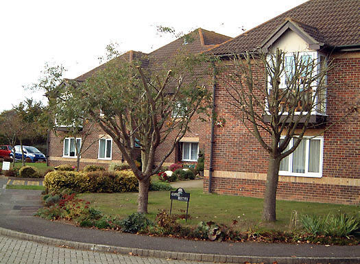 Copper Beeches Main