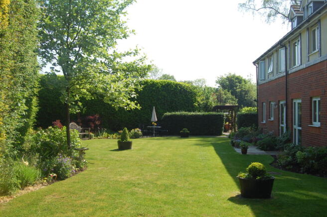 Photo 6