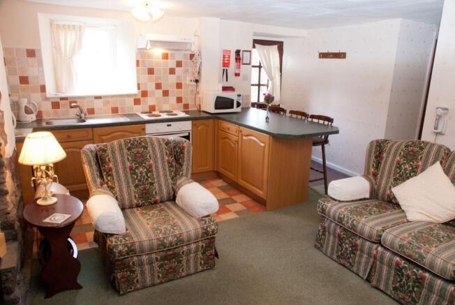 Living Room/Kitchen