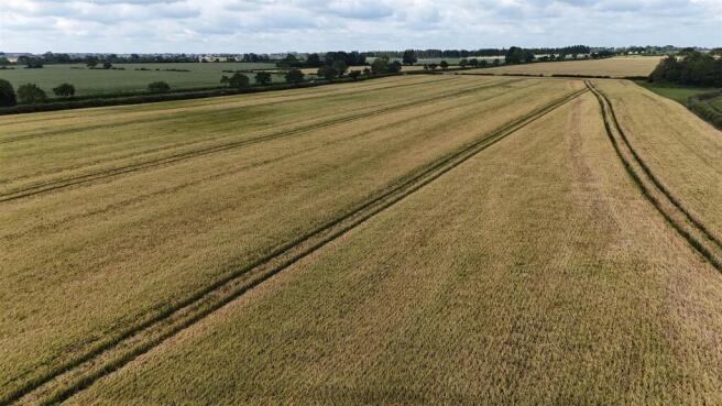 DJI_20260616105758_0012_D.JPG