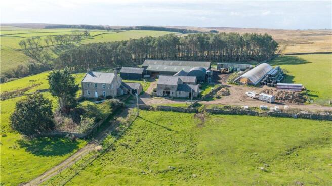 Lords Lot Steading