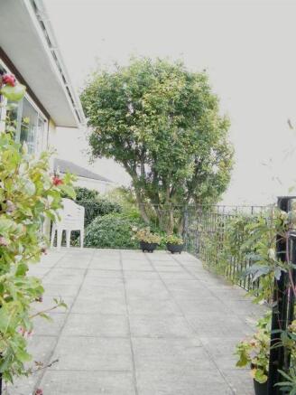 Patio Area