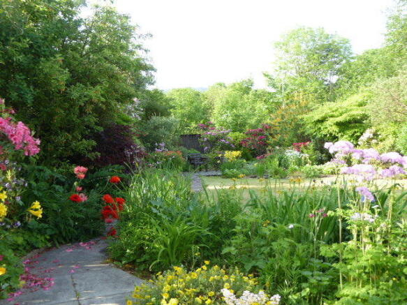 Photo 14