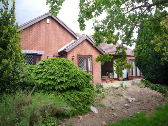 Photo 4