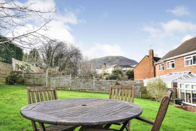 Rear View
