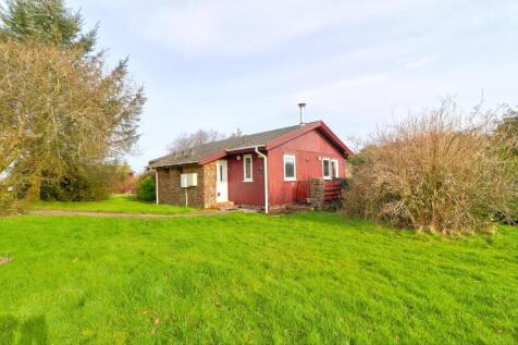 Hartland Forest, Woolsery, Bideford