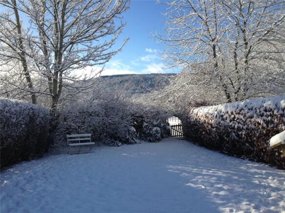 Garden In Winter