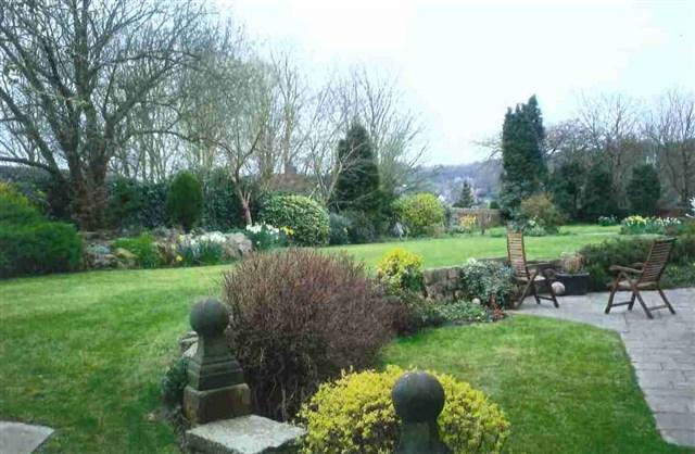 garden
