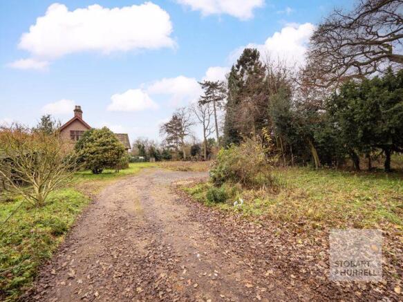 Along The Lane