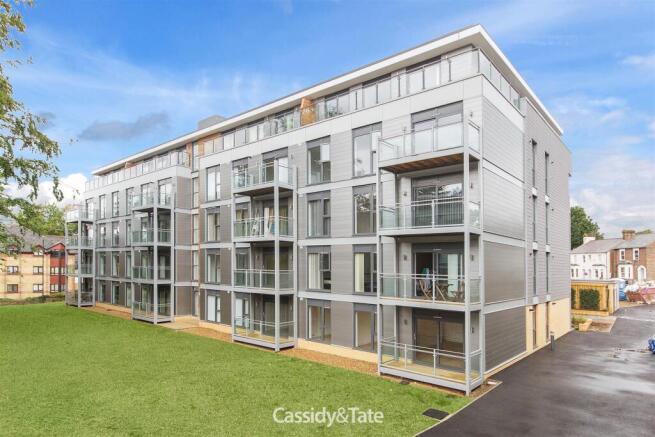 38 Somerville Court-3 NEW GRASS.jpg