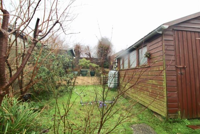 Garden 4.jpg