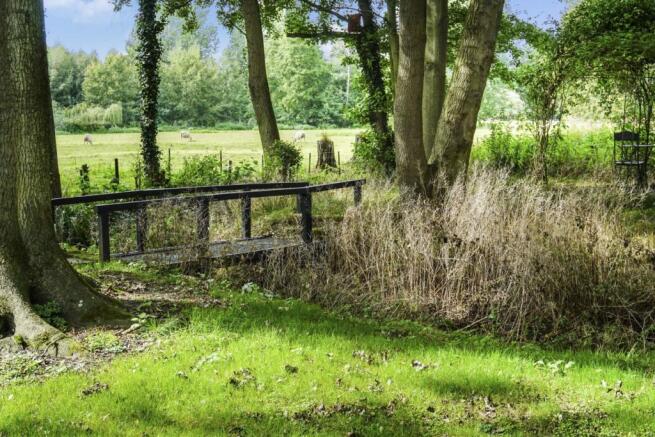 Communal Meadow