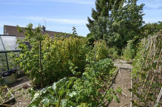 Vegetable Garden