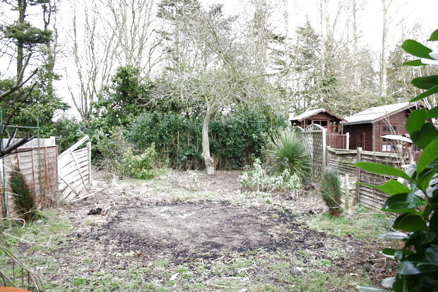 Photo 17