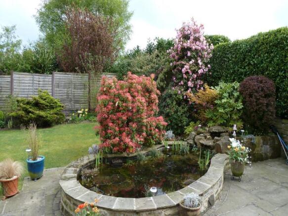 Image 13