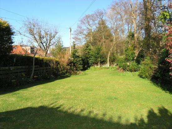 Garden (1)