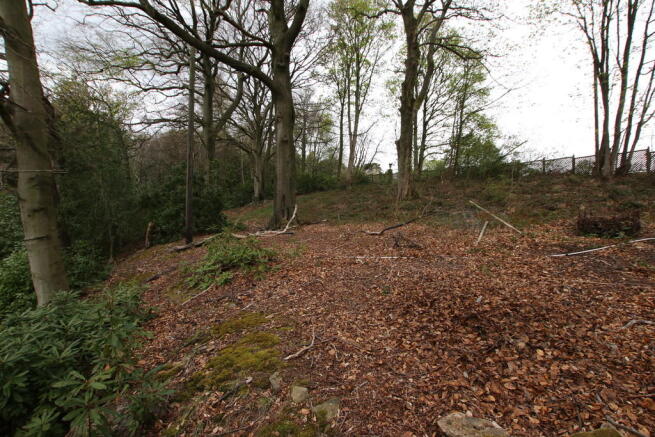 Woodland